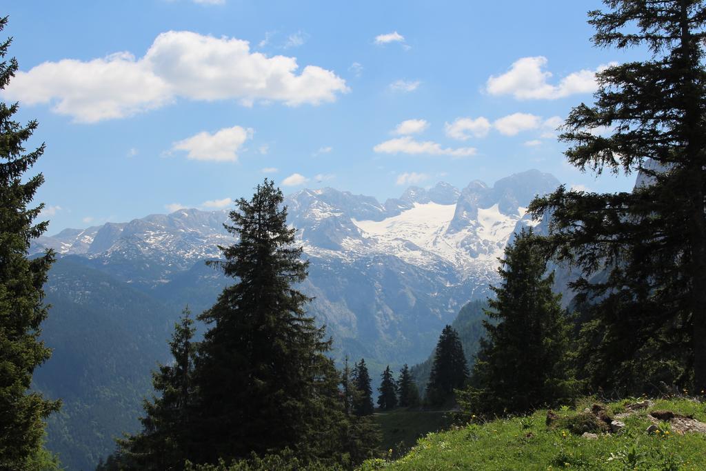 Salzburger Dolomitenhof Annaberg im Lammertal Εξωτερικό φωτογραφία