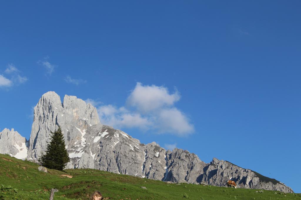Salzburger Dolomitenhof Annaberg im Lammertal Εξωτερικό φωτογραφία