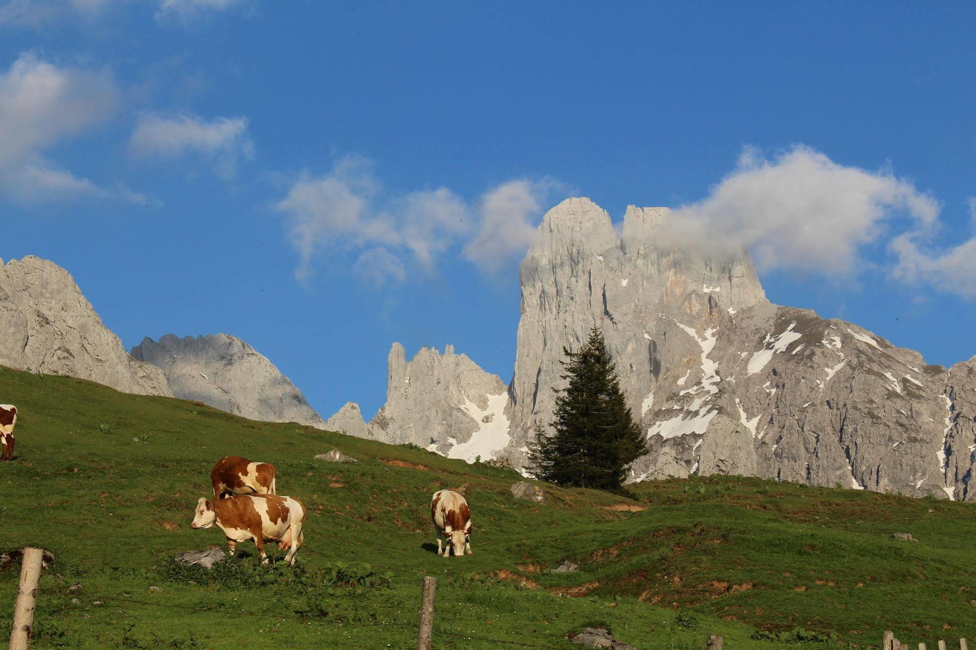 Salzburger Dolomitenhof Annaberg im Lammertal Εξωτερικό φωτογραφία